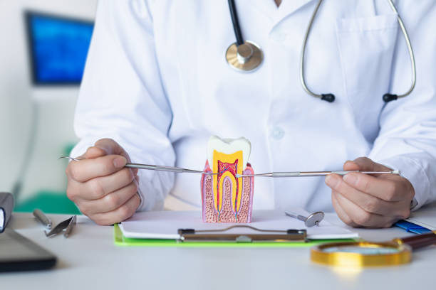 Best Emergency Tooth Extraction in Fort Mill, SC